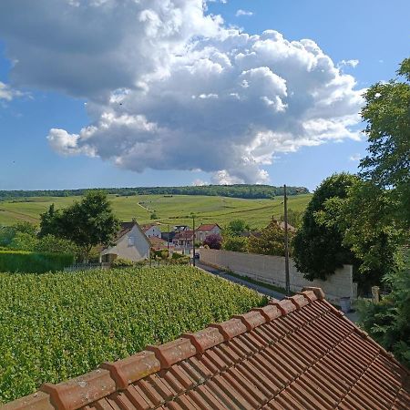 Gite Independant Diz'Enreves Au Coeur Des Vignes Dizy Exteriér fotografie