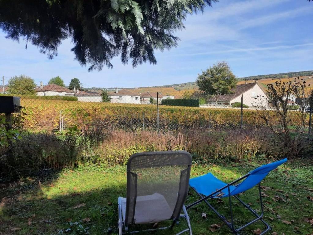 Gite Independant Diz'Enreves Au Coeur Des Vignes Dizy Exteriér fotografie